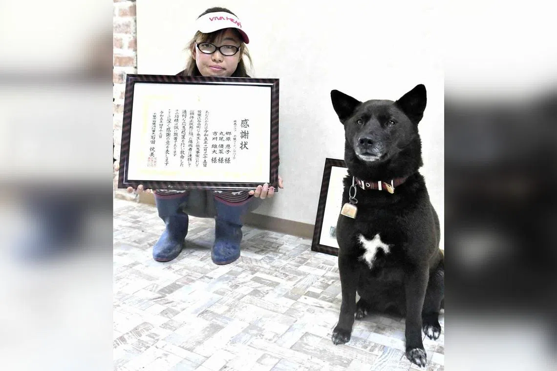 Chiba Riding Park instructor Yuna Maruo and five-year-old dog Koume lauded for their quick-thinking at Chiba Riding Park in Wakaba Ward, Chiba.