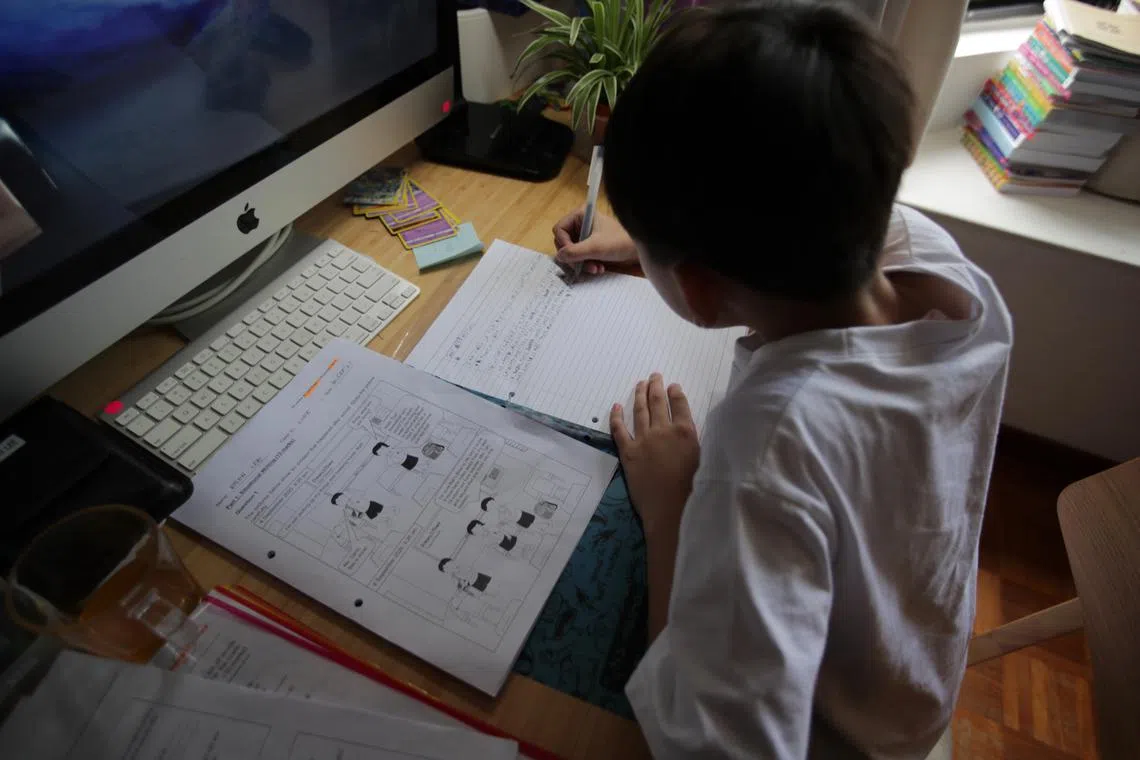 Pupils may feel overwhelmed by the sheer amount of material that they need to revise in the lead up to the PSLE.
