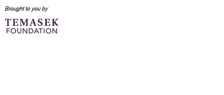 temasek foundation logo