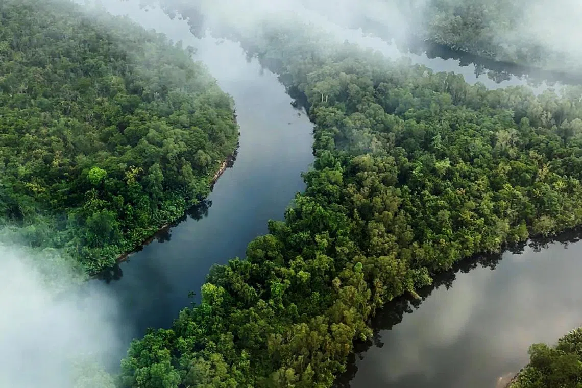 Lush forests seen at the Southern Cardamom project, which protects 497,000 ha of tropical rainforest in South-west Cambodia.