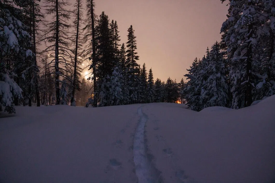Nine bodies recovered in deadly California  avalanche, officials say