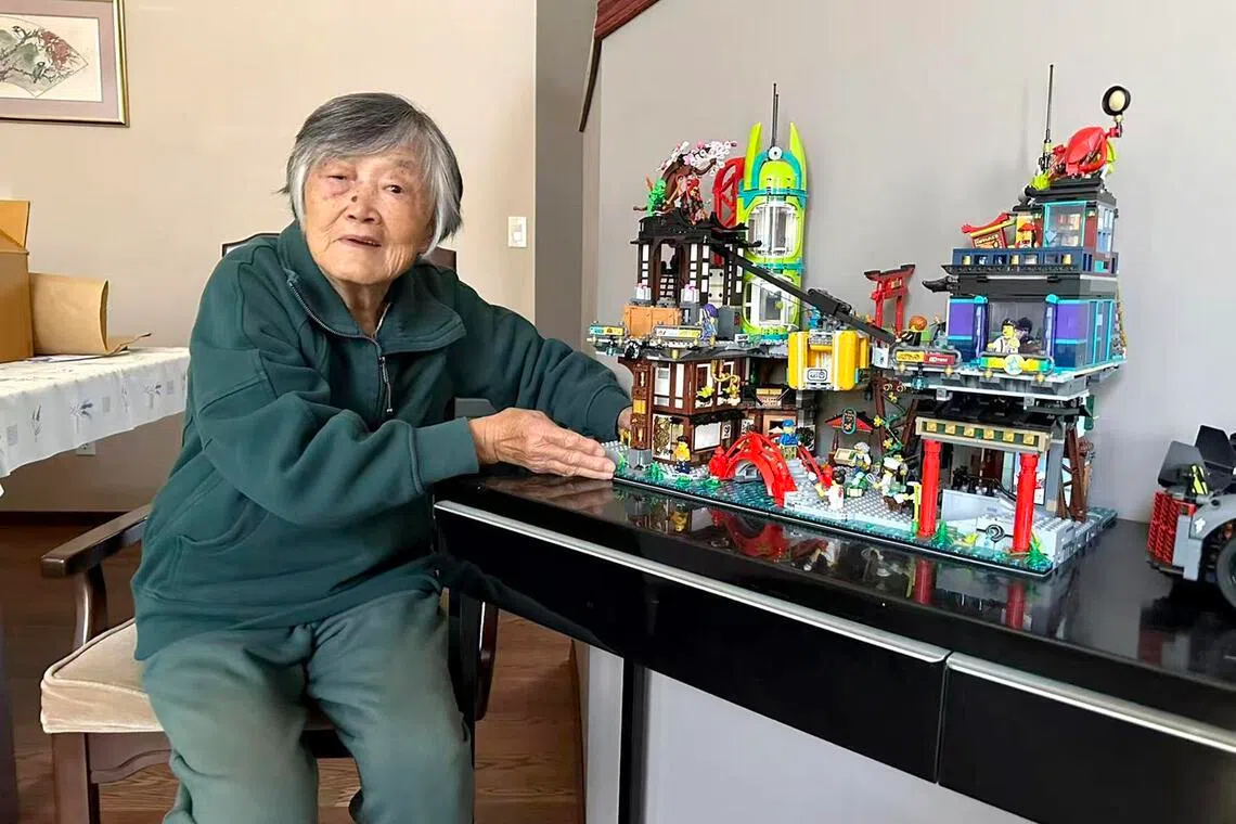 Chao raramente tem esperanças sobre o que deseja criar a seguir, mas há uma exceção. Ex-engenheira geotécnica, ela se interessou muito por um macaco de bomba e um conjunto de tijolos para uma planta de processamento de petróleo fabricados por outra empresa de brinquedos, a JieStar.