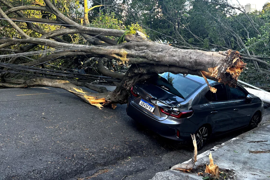 A tree lies on a damaged car following heavy rains, in Sao Paulo, Brazil December 10, 2025. REUTERS/Leticia Fucuchima