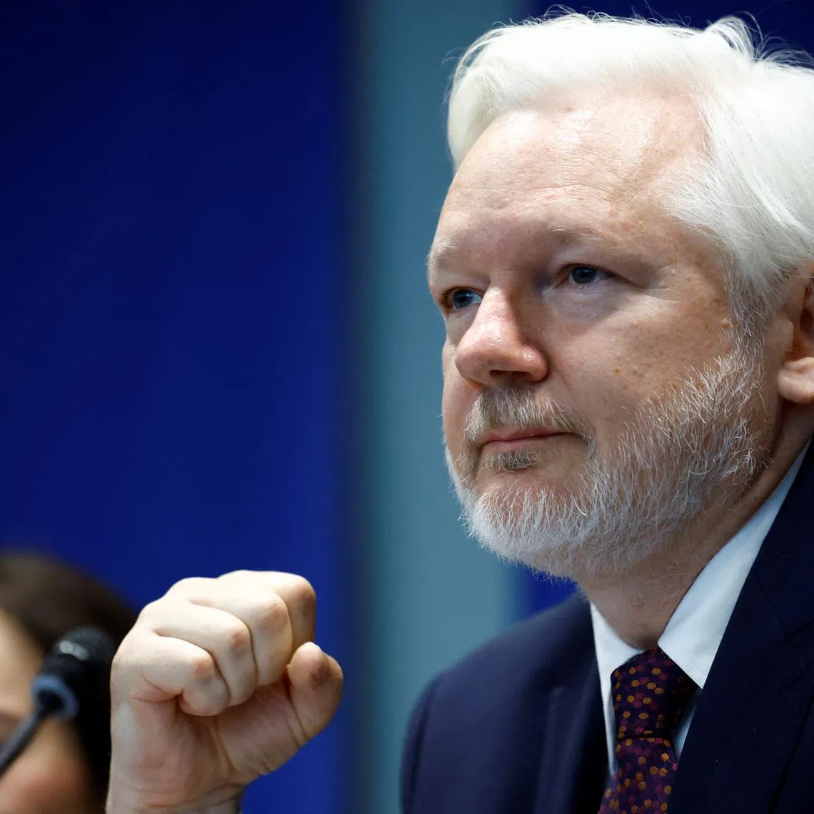 WikiLeaks' founder Julian Assange attends a hearing on his detention and conviction, and their effect on human rights before the Committee on Legal Affairs and Human Rights of the Parliamentary Assembly of the Council of Europe (PACE) in Strasbourg, France, October 1, 2024. REUTERS/Stephane Mahe