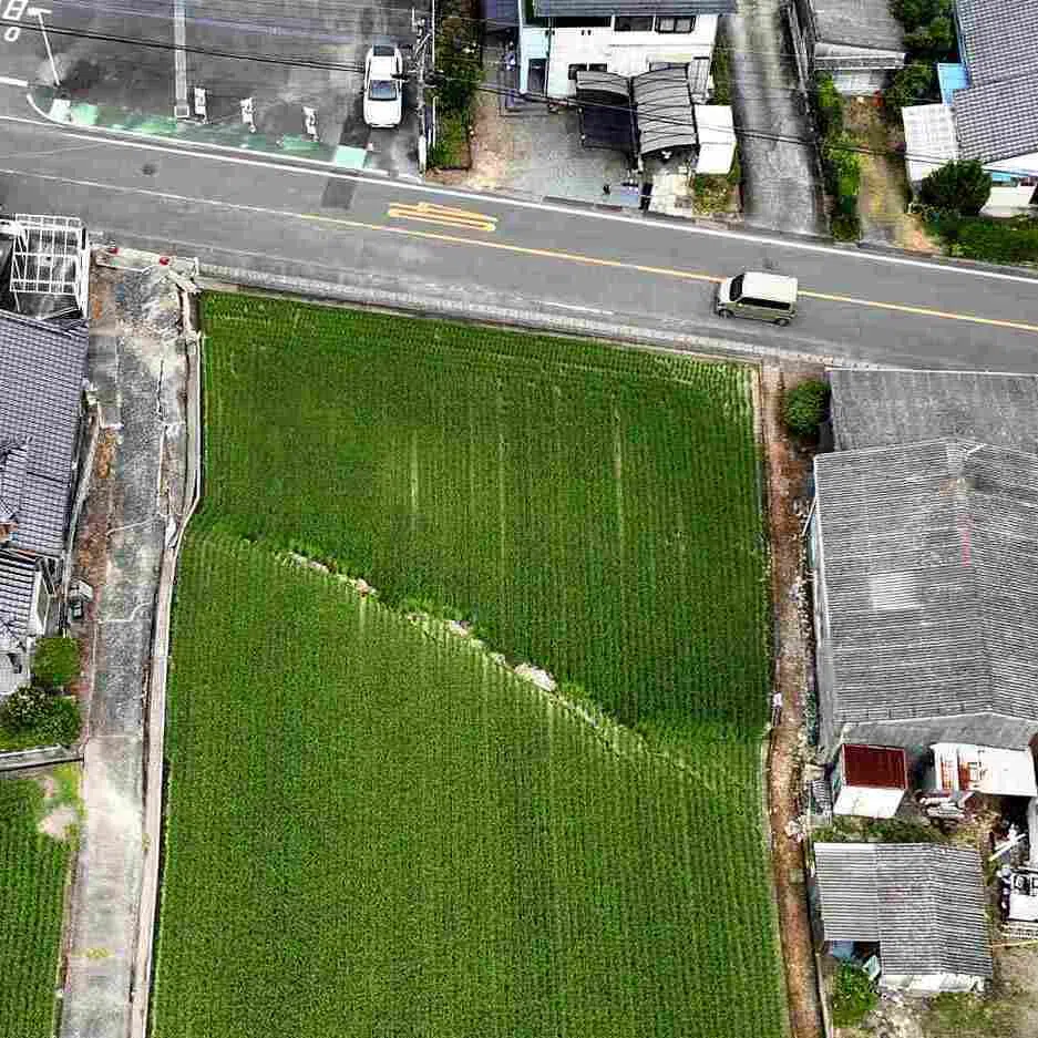 A huge crack is seen in a rice paddy in Yatsushiro, Kumamoto Prefecture, on Aug 9.