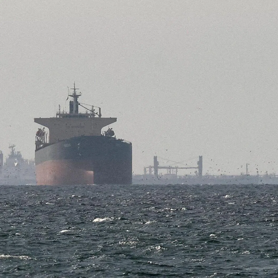 Cargo ships in the Gulf, near the Strait of Hormuz, are seen amid the US-Israeli conflict with Iran, on March 11, 2026.
