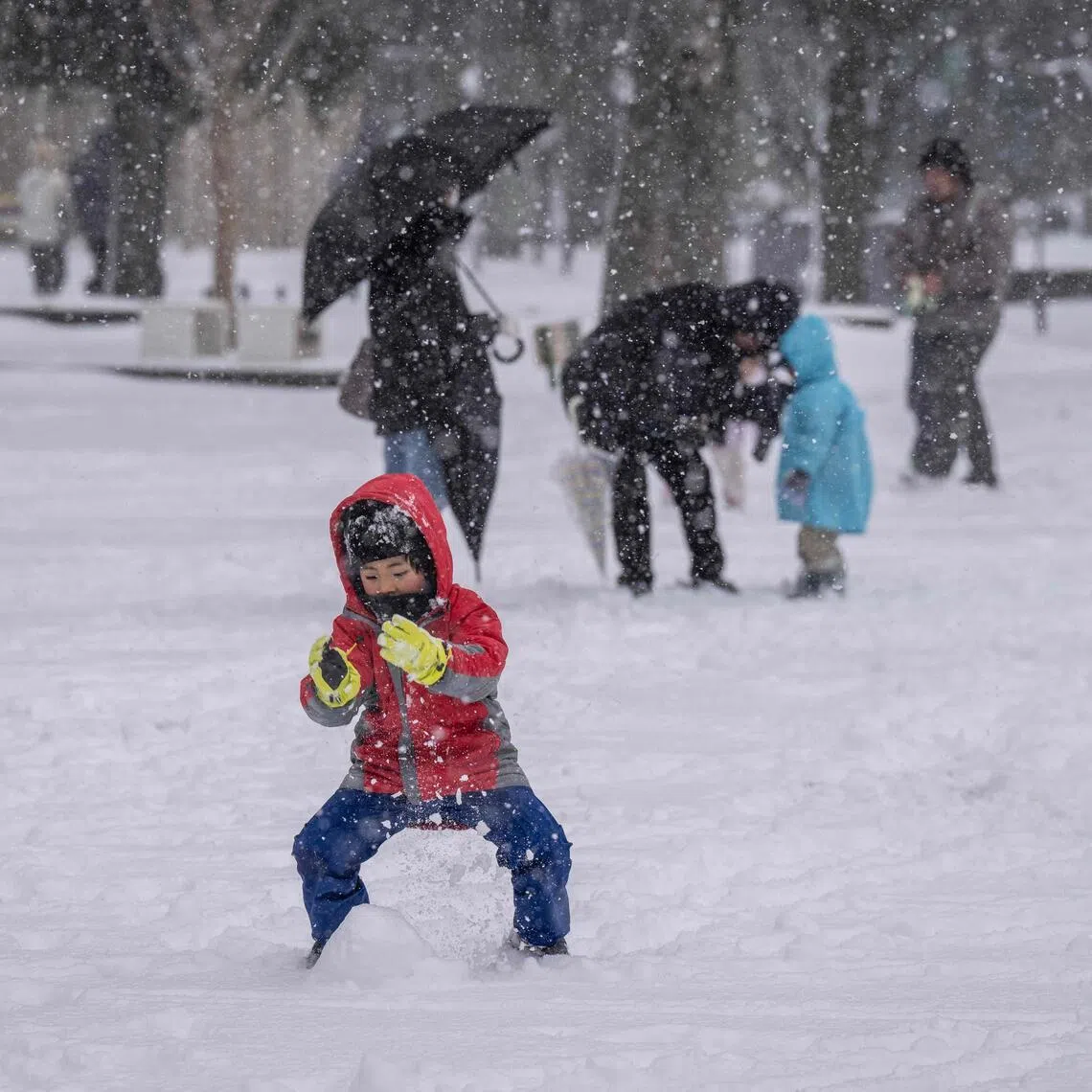A child plays with snow at a park in Tokyo.