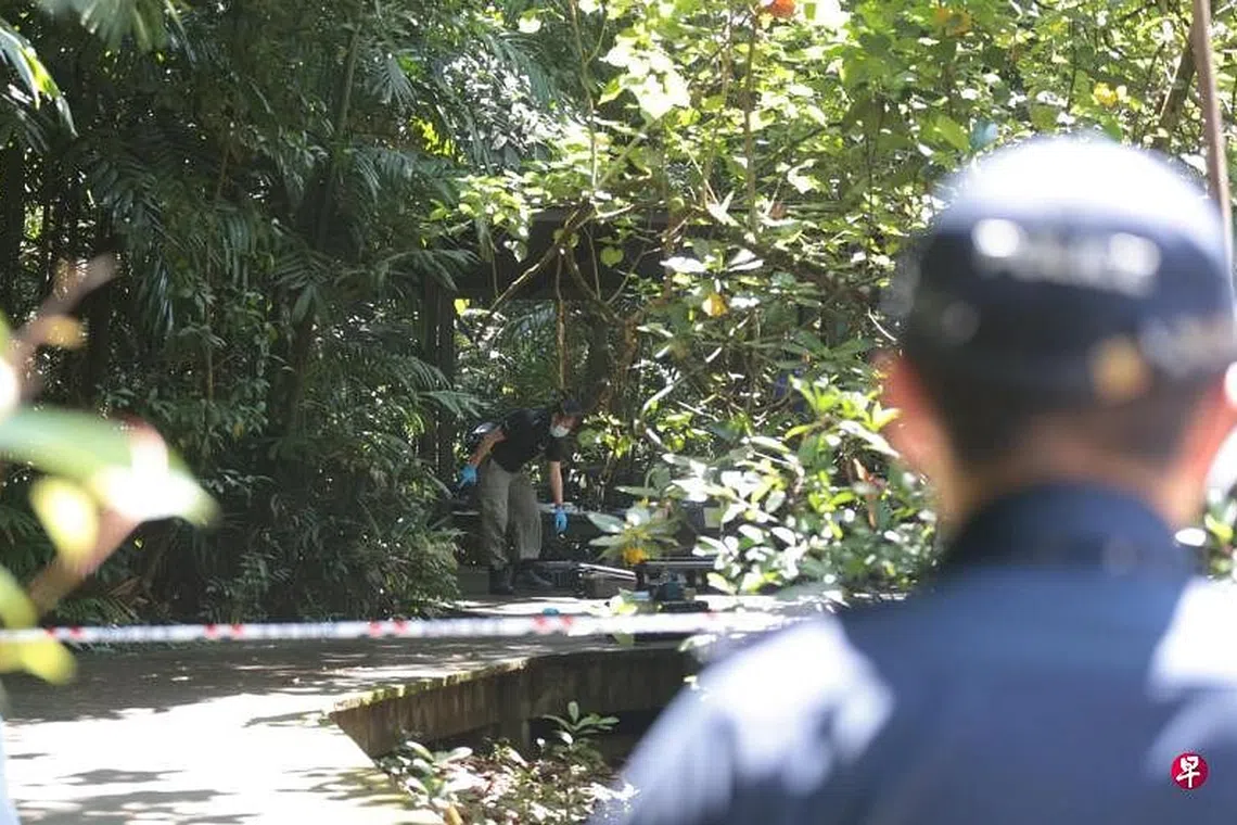 Man allegedly armed with improvised flamethrower in Pasir Ris Park shot ...