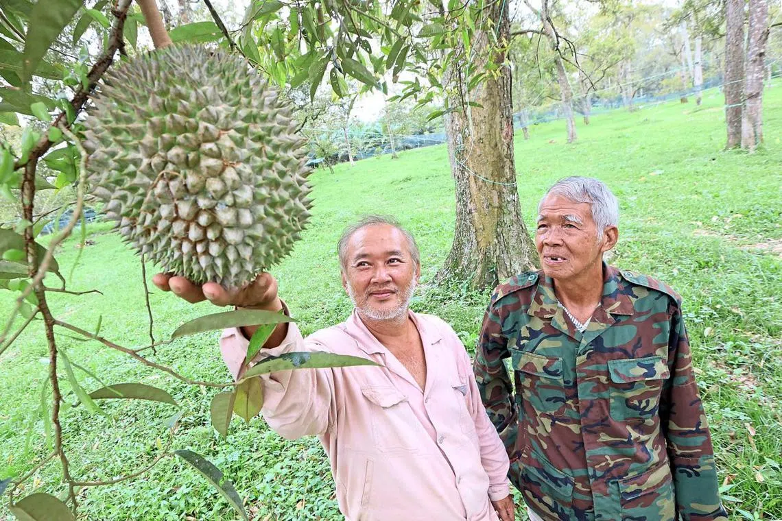 Johor farmers said their harvests and income have become as unpredictable as the weather.