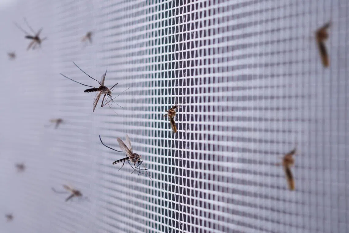 The West Nile virus can cause severe, ​life-threatening illness in about one ​in 150 people who are infected.