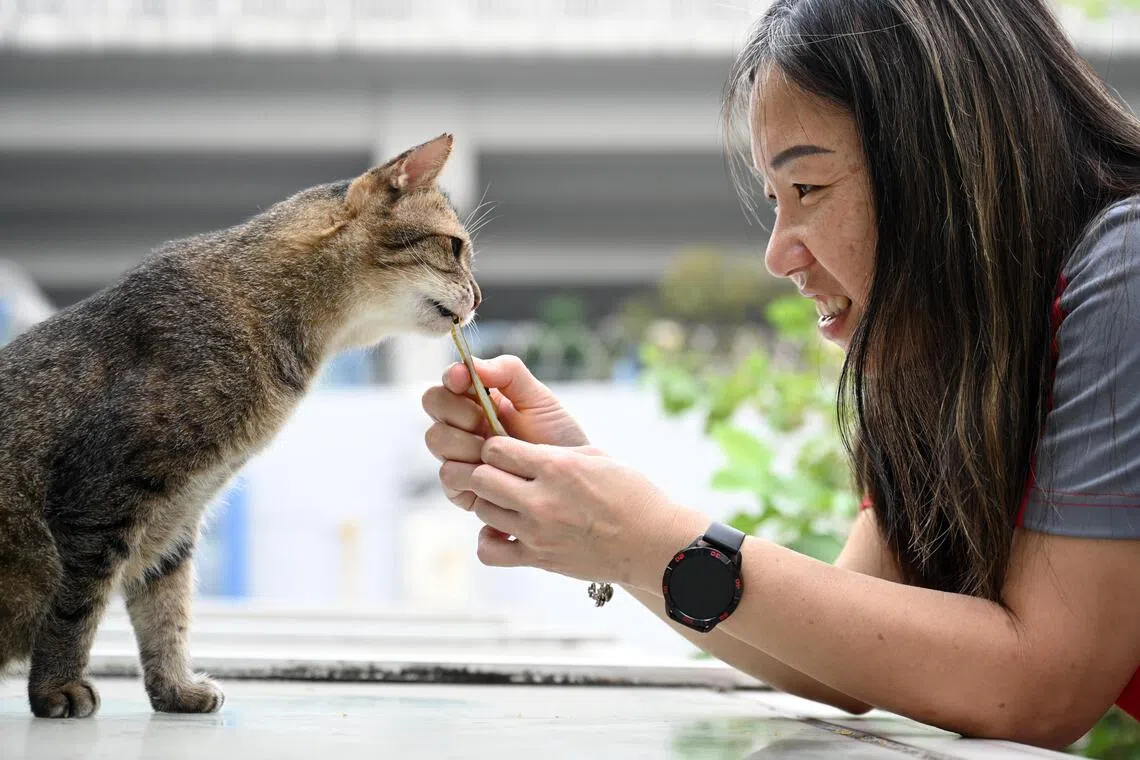 SMRT Trains’ Zanna Lee, a senior manager in plans and resource management, with Cassidy.