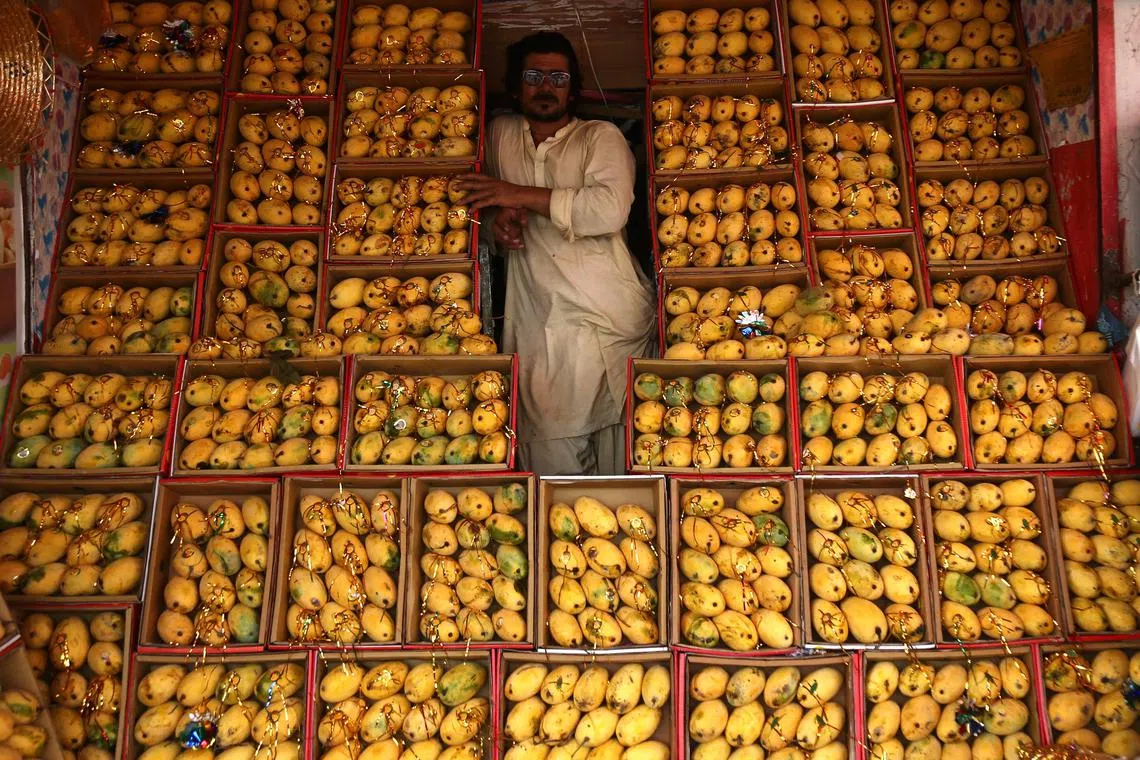  A vendor sells fruit at his shop on a road side in Karachi, Pakistan, 02 August 2023. Pakistan recently announced a significant increase in petrol and diesel prices to meet fiscal objectives outlined in a deal with the International Monetary Fund (IMF). 