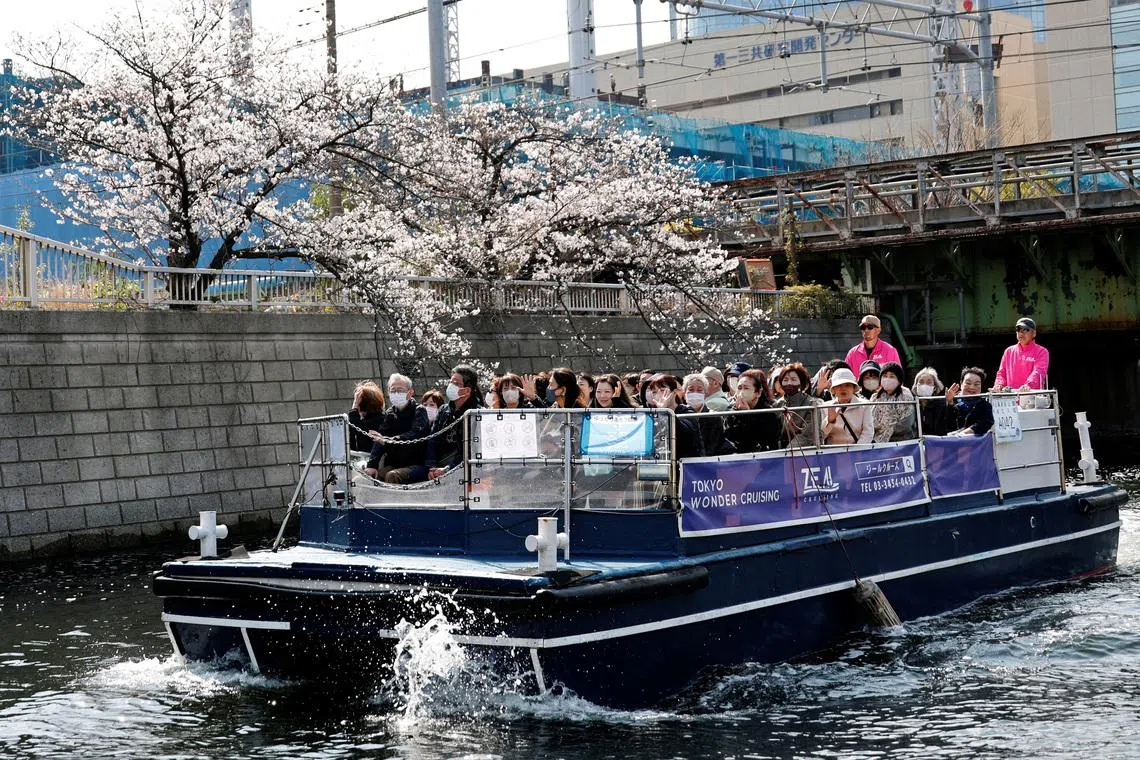 A cruise boat sails past blooming cherry blossoms along Meguro River in Tokyo, Japan, March 30, 2026.