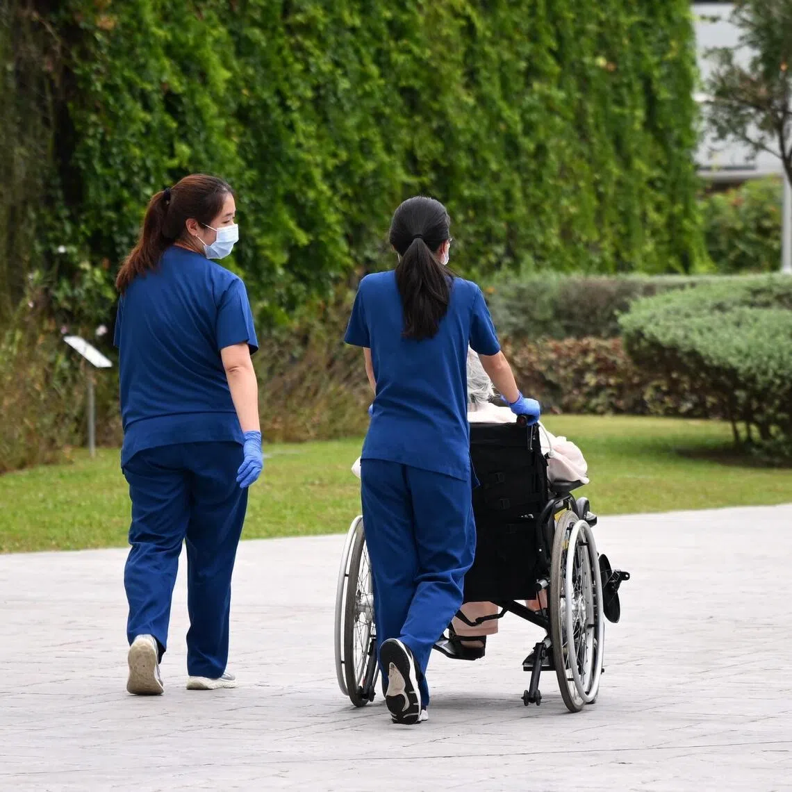 Generic pix of healthcare workers with a patient in a garden, at Singapore General Hospital (SGH), on Feb 6, 2026.