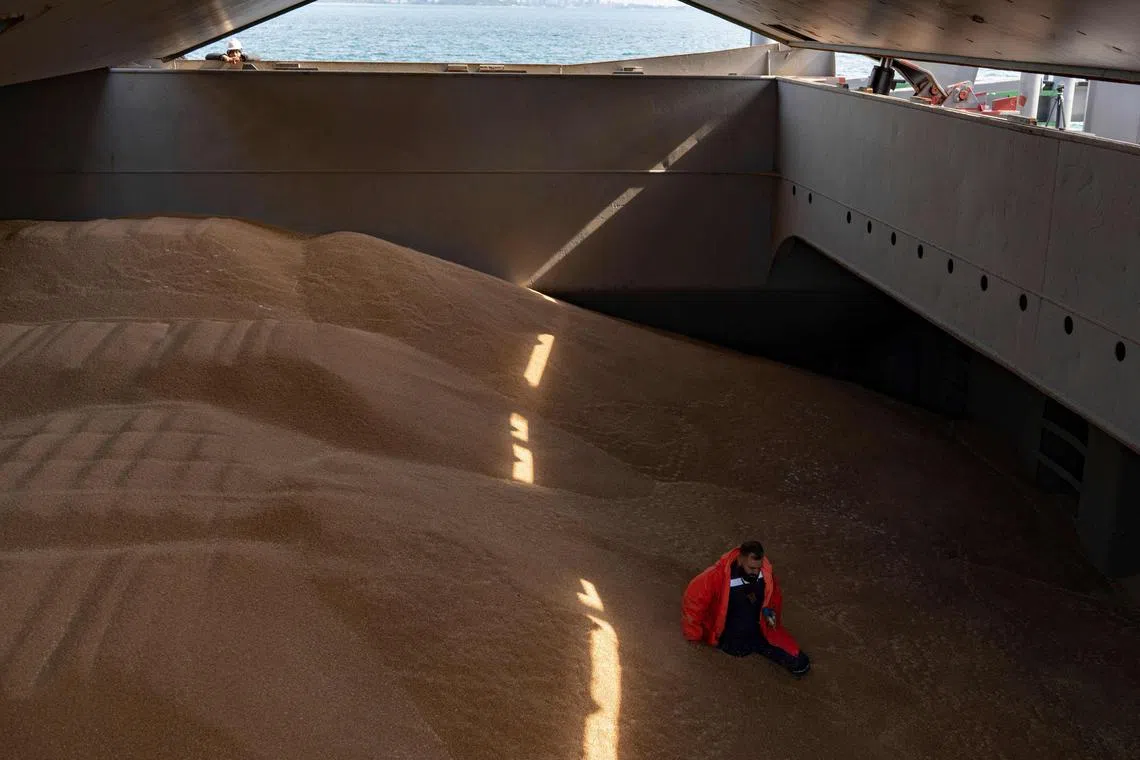 The agreement has enabled the export in cargo of more than 32 million tonnes of Ukrainian grain over the last year.