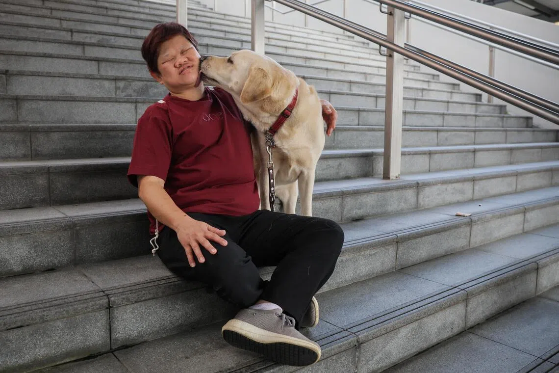 Lim with her Labrador guide dog, Hesta, who attends training with her on Saturdays and leads her during the parade.