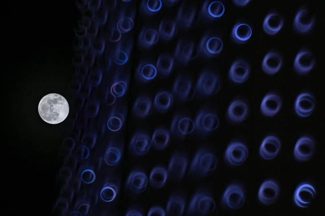 The Harvest Moon as viewed outside H&M Orchard Building on Sept 18, 2024. 