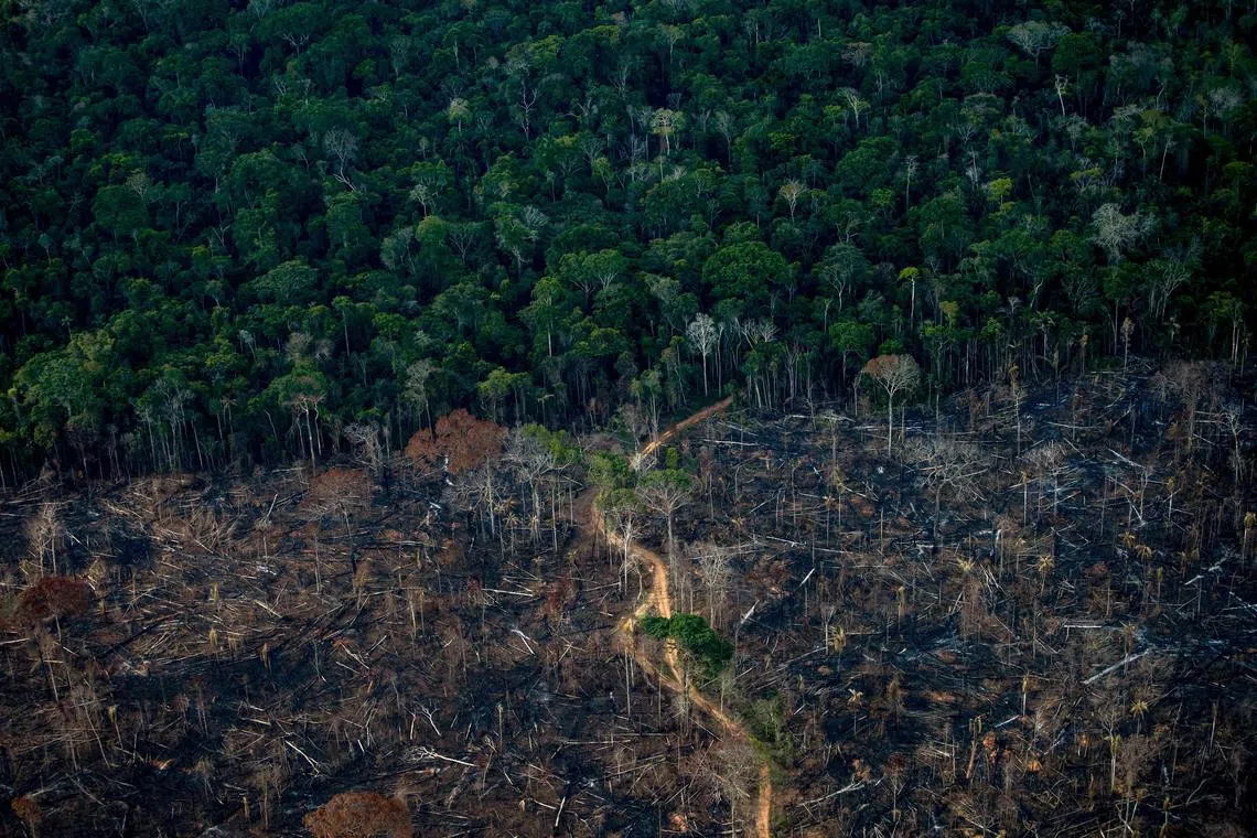 (FILES) Aerial view show a deforested area of Amazonia rainforest in Labrea, Amazonas state, Brazil, on September 15, 2021. The Amazon rainforest's carbon emissions doubled in 2019 and 2020, as a decline in environmental policing under Brazilian ex-president Jair Bolsonaro led to a surge in destruction of the increasingly fragile region, researchers reported on August 23, 2023. (Photo by MAURO PIMENTEL / AFP)