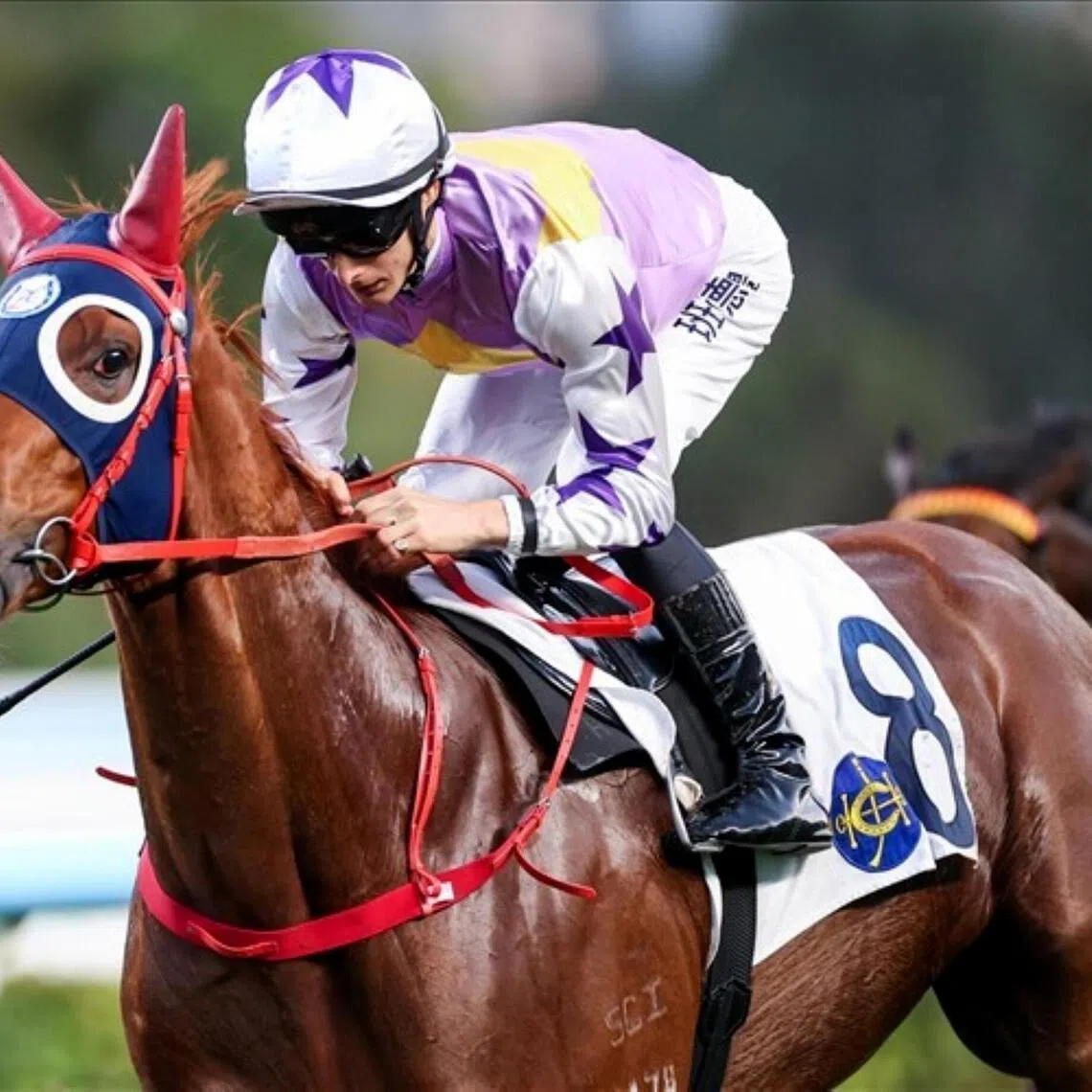 Regular partner Harry Bentley will try and use Stormy Grove's customary style of settling back, letting the race unfold, before producing a late surge to claim the BMW Hong Kong Derby (2,000m) at Sha Tin on March 22.
