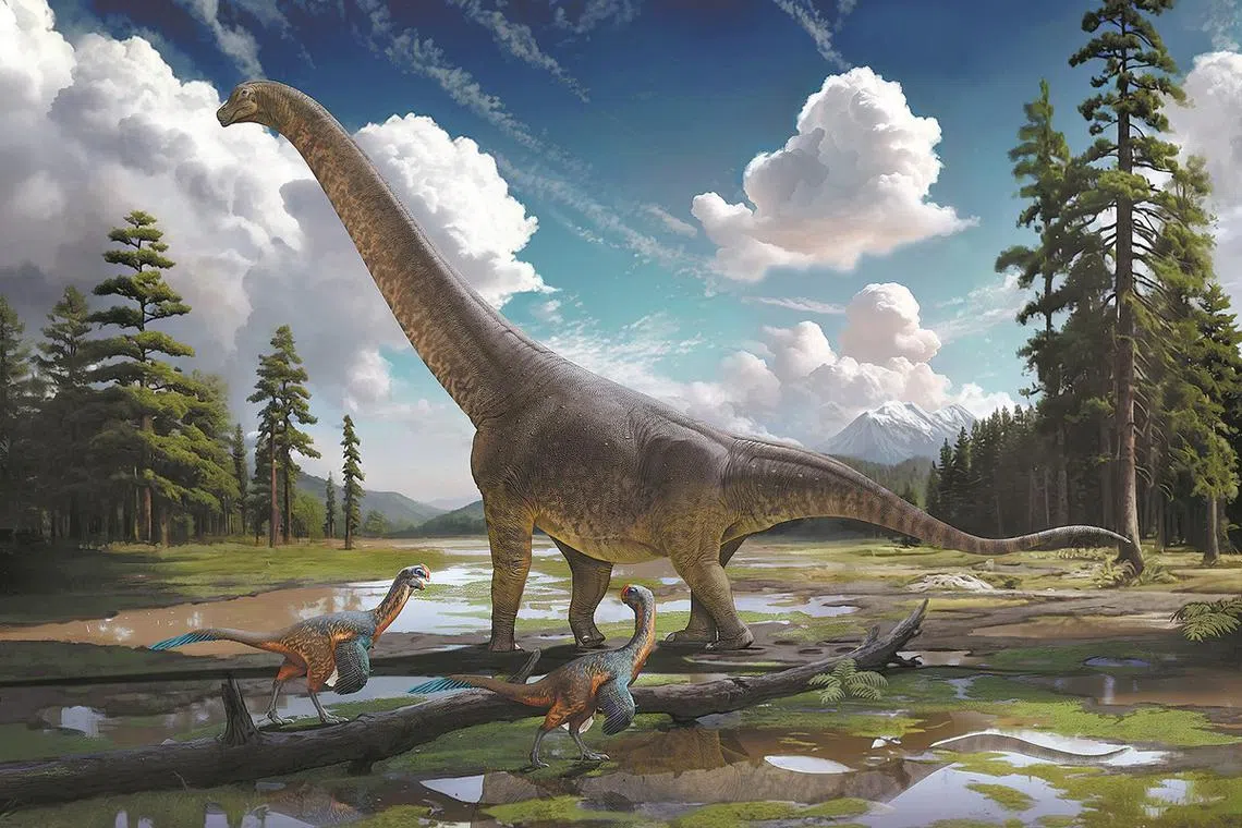 The fossils were found at a construction site in the eastern province of Jiangxi in June 2021. 