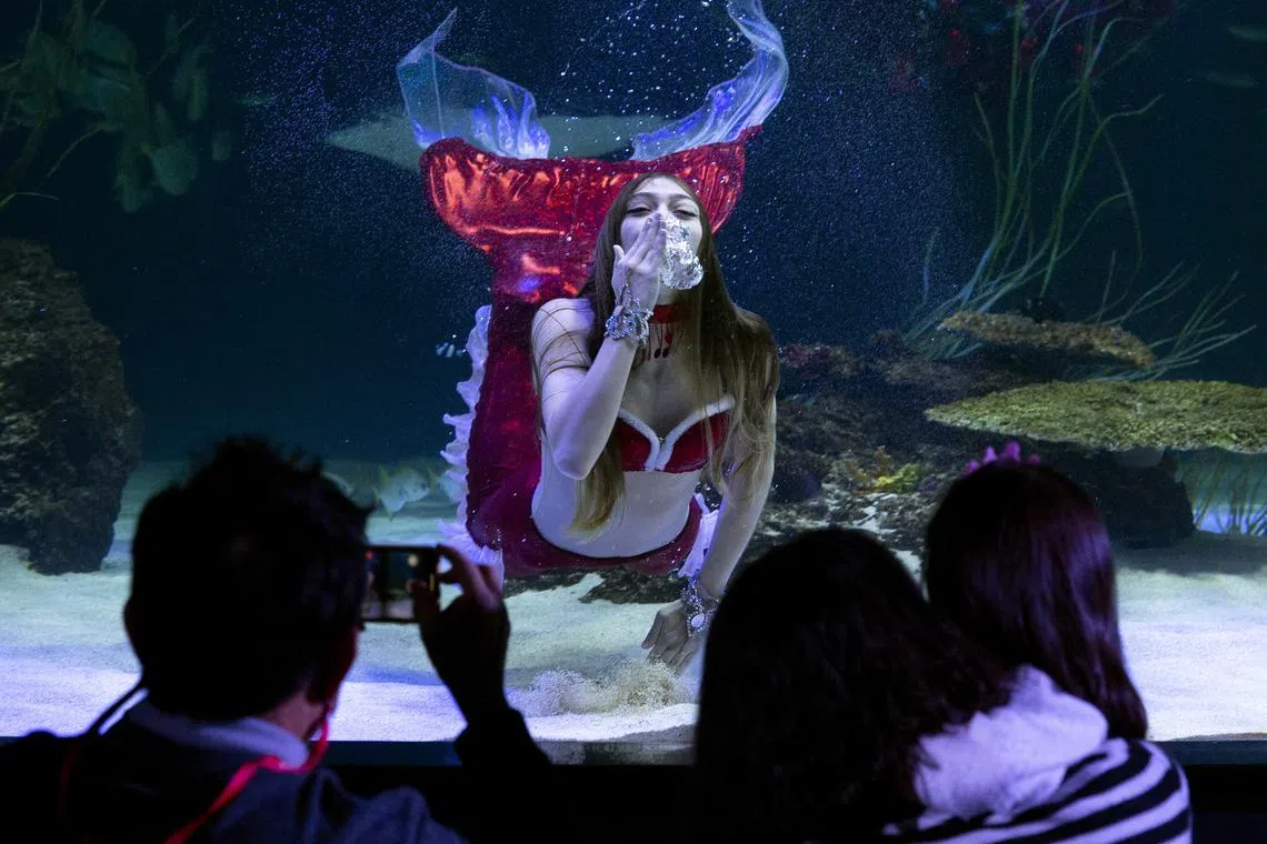 A diver wearing a Santa Claus costume performs in a tank at the aquarium Aqua Planet 63, in Seoul, South Korea on 08 December 2022.  PHOTO : EPA-EFE
