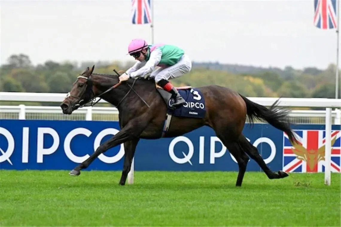 Kalpana - Kalpana (Colin Keane) claiming her second victory in the Group 1 British Champions Fillies & Mares Stakes at Royal Ascot on Oct 18, 2025 after winning it in 2024. The Andrew Balding-trained five-year-old mare has gone on to take out the Group 1 King George VI & Queen Elizabeth Stakes (2,414m) at Royal Ascot on July 25.

PHOTO: RACING AND SPORTS