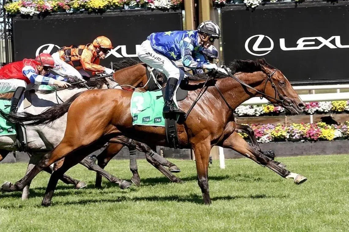 Middle Earth (Mark Zahra) winning the Australian Cup Prelude (2,000m) at Flemington on March 8, 2025. A spring campaign eventually concluded with a creditable third place in the Melbourne Cup (3,200m) eight months later.

