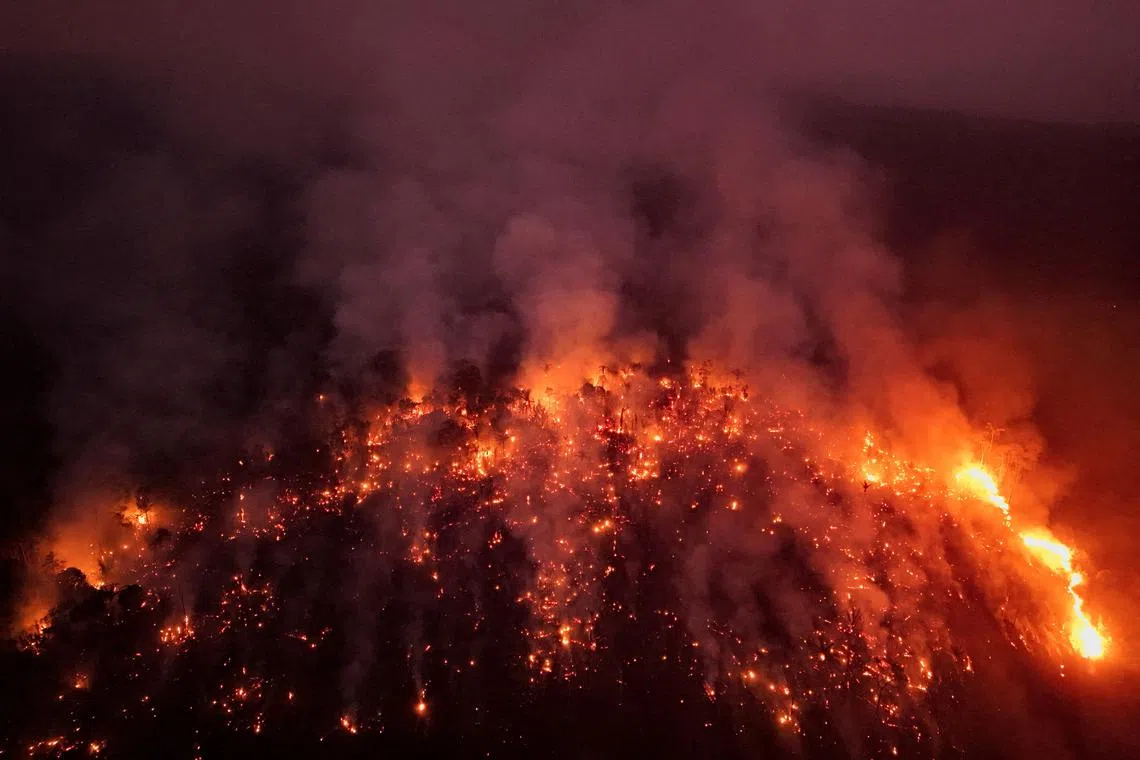 FILE PHOTO: A view of the devastation caused by a forest fire in the Amazon in an area of the Trans-Amazonian Highway BR230 in Labrea, Amazonas state, Brazil September 4, 2024. REUTERS/Bruno Kelly/File Photo
