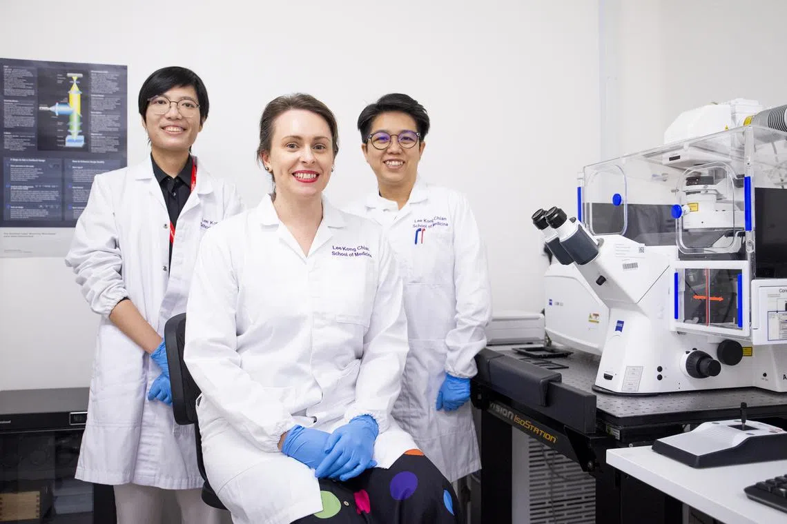 From left: Final year PhD student Ms Lai Kei Onn, Nanyang Asst Prof Anna Barron, and research fellow Dr Wong Jia Hui from Nanyang Technological University, Singapore’s Lee Kong Chian School of Medicine. They are part of the NTU team that discovered how brain immune cells can produce energy, which could be targeted as a potential treatment for Alzheimer’s disease.



Credit: NTU Singapore