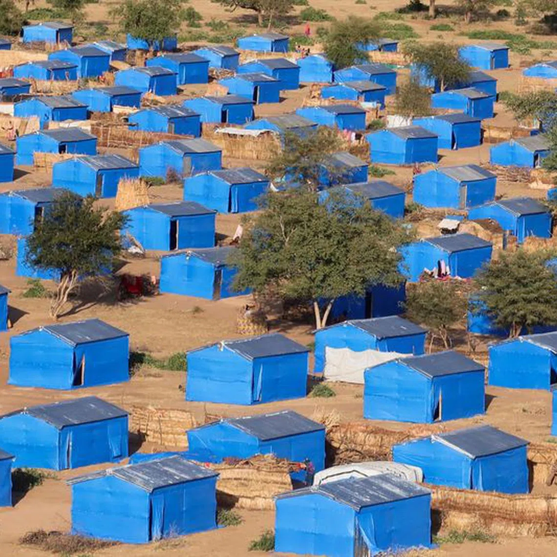 FILE PHOTO: A general view of refugee tents in the Metche Sudanese refugee camp, Chad, November 9, 2023. REUTERS/El Tayeb Siddig/File Photo