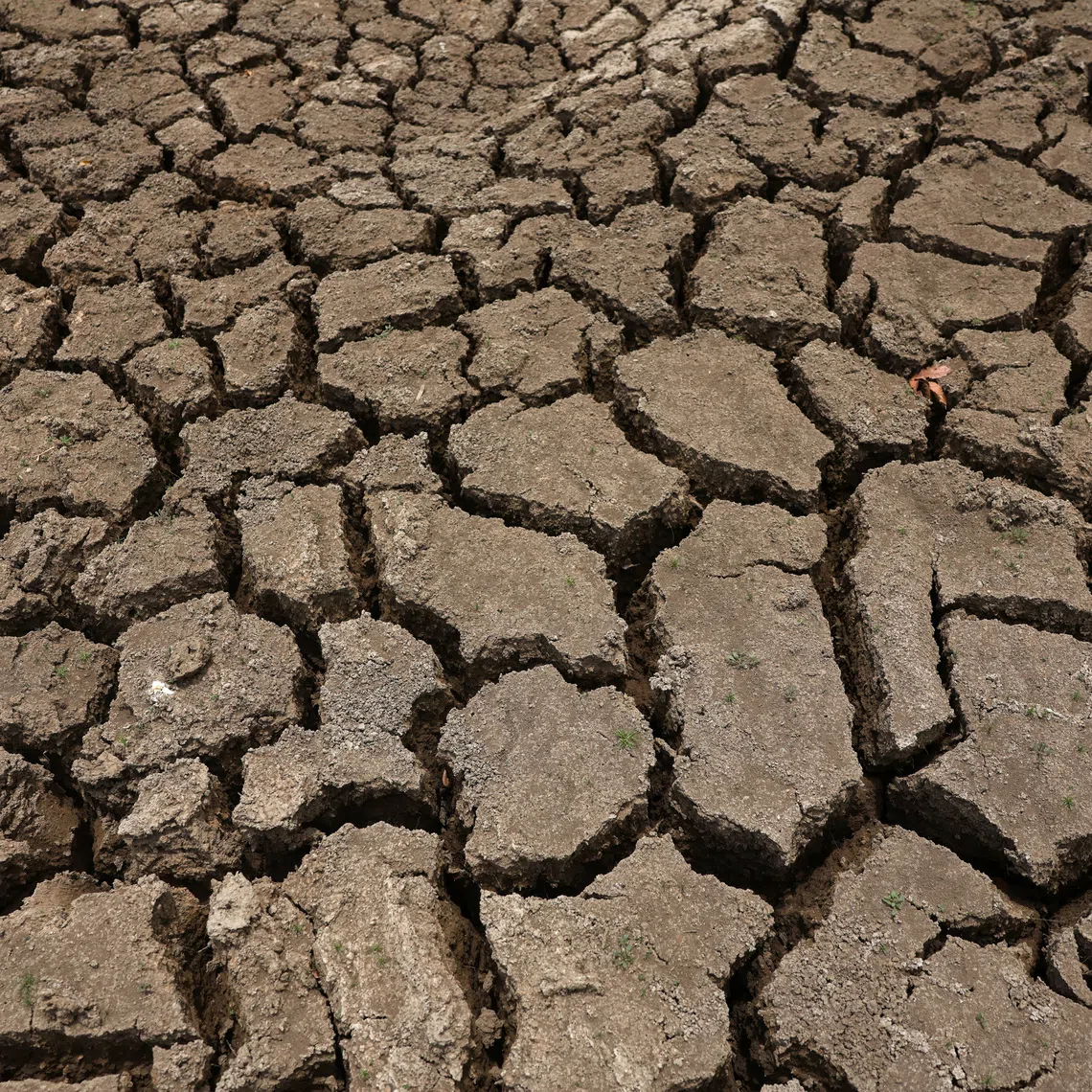 From next week, park managers will take emergency measures even further by banning tourists from the watering hole and other busy areas, to give the animals a breather after months without rain.