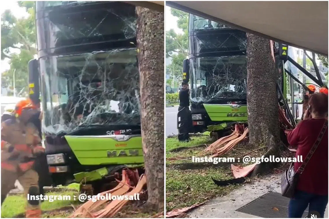 In a video posted on on Instagram page sgfollowsall.backup, a person appears to be performing cardiopulmonary resuscitation on the driver.