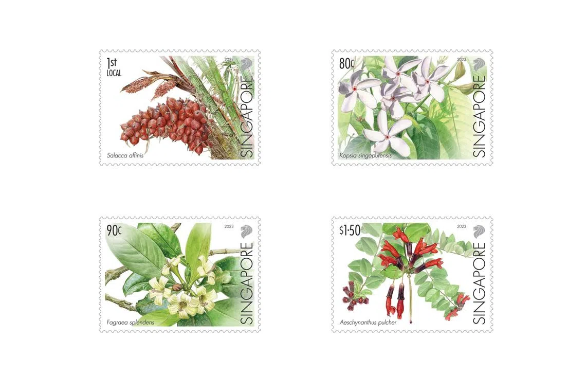 The stamps showcase four critically endangered flora species that are on NParks’ species recovery programme, and were all found or rediscovered at Nee Soon Swamp Forest.



Credit: SingPost