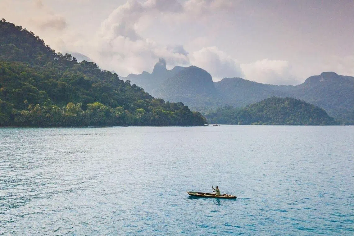 Tech tycoon pays ‘natural dividend’ to preserve African island