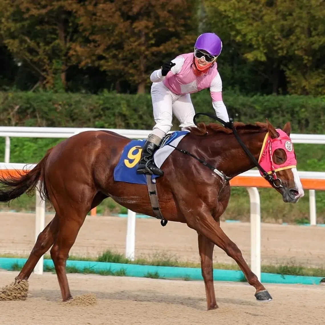 Chief Star - Chief Star (Choi Bum-hyun) landing the Listed NACF Chairman's Trophy to remain undefeated in her first three starts, establishing herself as one of the top juvenile prospects in South Korea. Now three, the filly will attempt to keep the charmed run going in the Class 4 (1,400m) in Seoul on Jan 3.

Photo by Korea Racing Authority