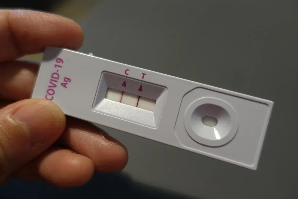 On average, the four strains together account for 23 per cent of annual influenza cases globally 