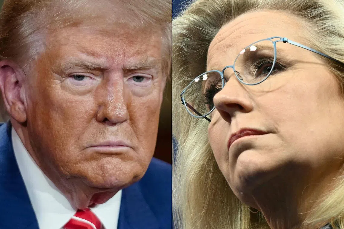 Donald Trump has drawn outrage for comments he made about former lawmaker Liz Cheney at a campaign event in the battleground state of Arizona on Oct 31..