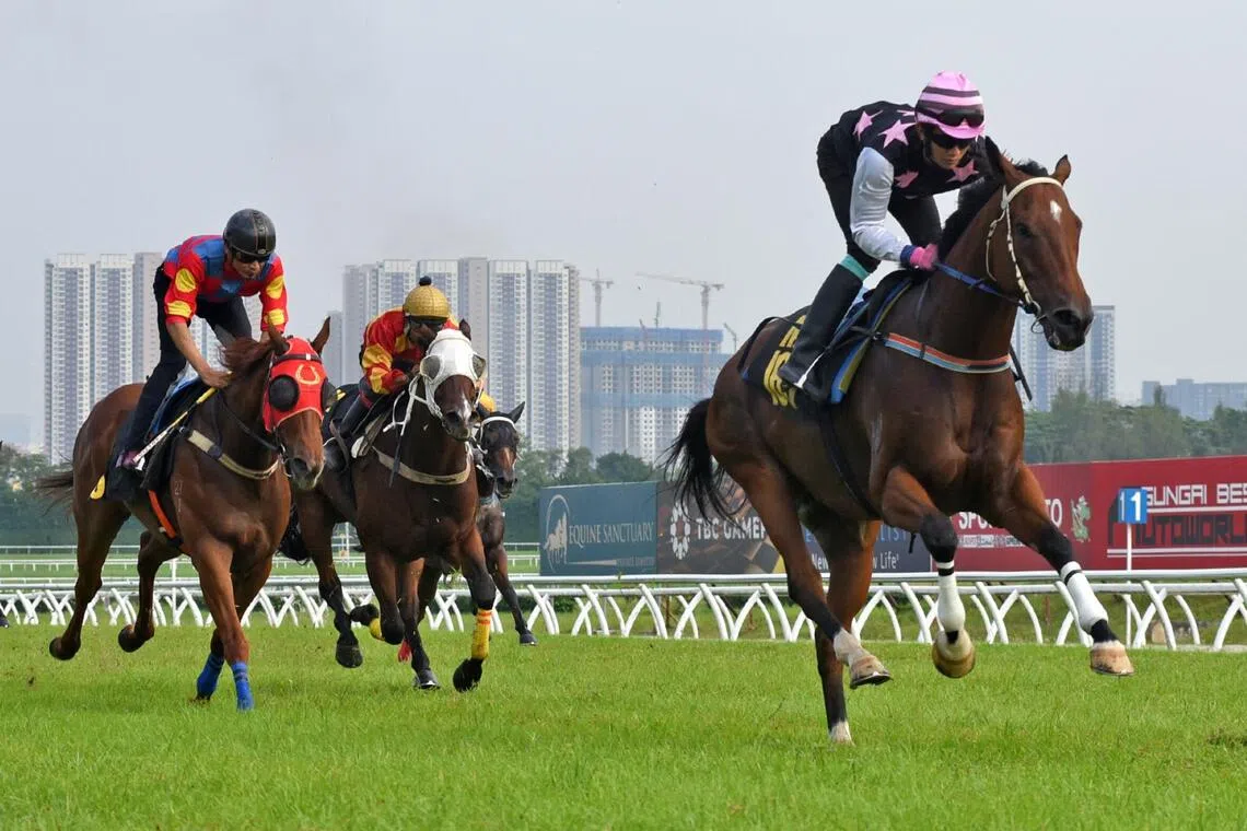 Heart Of Fire (W.H. Lim)
