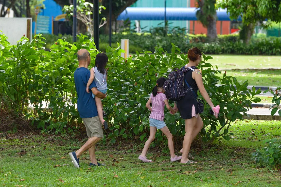 About 40.1 per cent of Singaporean ever-married women aged 40 to 49 have no children or one child, while 41.8 per cent have two.