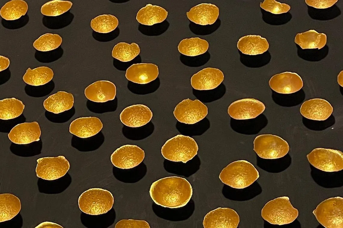 Zai Kuning’s What we have are rivers, mud, stones, sand, earth and trees, but what they see is gold (2022).