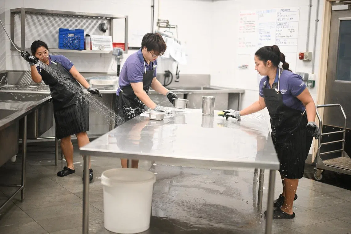 ST20260526-202651800543-Lim Yaohui-Ang Qing-aqocean/

The kitchen being cleaned up after food preparation at Singapore Oceanarium on May 26, 2026. 

Behind the scenes of Singapore Oceanarium’s Animal Care Centres and explore how one of Asia’s leading aquarium-based conservation institution is combining science, conservation, and community engagement, setting new global standards for how aquariums can breed and care for animals and protect our oceans.

(ST PHOTO: LIM YAOHUI)