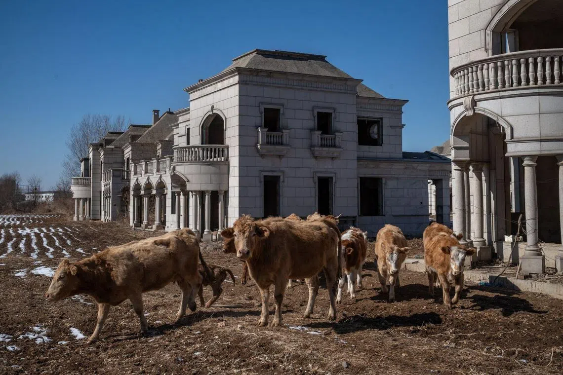 Uncompleted residential buildings at the State Guesthouse real estate project, on the outskirts of Shenyang, Liaoning Province, China.