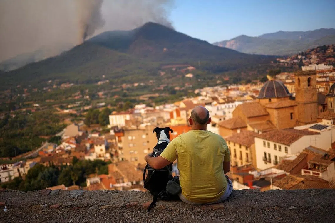 A man and his dog look at a wildfire in a mountain in Onda, Spain, July 27, 2026. REUTERS/Pedro Nunes TPX IMAGES OF THE DAY