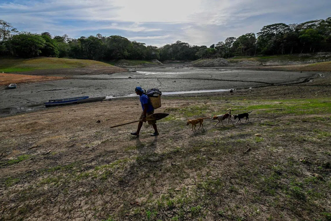A fisherman walks in Lake Alhajuela during the summer drought in Panama on April 21.