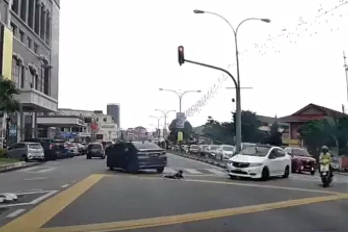 A boy who tumbled out of a moving car in Kota Bharu survived after being hit by two oncoming cars.