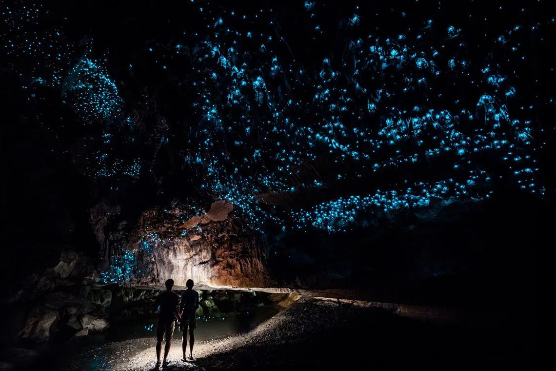 photo-glow-worm-cave-waikato-new-zealand-detour-destination-auckland