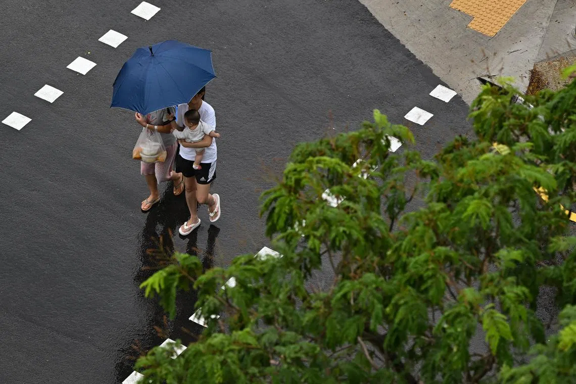 On most days in the second half of December, thundery showers are expected in the afternoon and may extend into the evening on some days. 