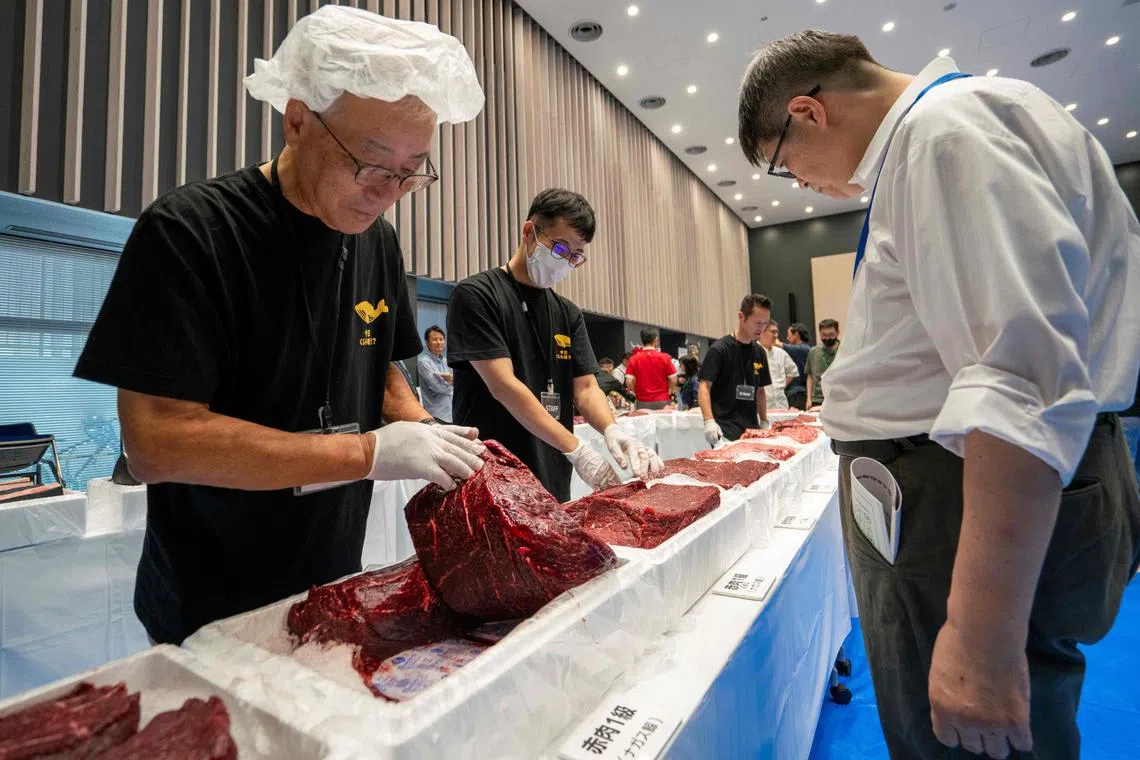 Various cuts of fin whale meat are displayed at the exhibition and business meeting of domestically produced fin whales hosted by Japan's whaling company Kyodo Senpaku at Tokyo's Toyosu market on September 13, 2024. Bite-size bits of fin whale were available to sniff and taste on September 13 as Japan's whaling industry seeks to rekindle appetite for a protein source that has largely fallen out of favour. (Photo by Kazuhiro NOGI / AFP)