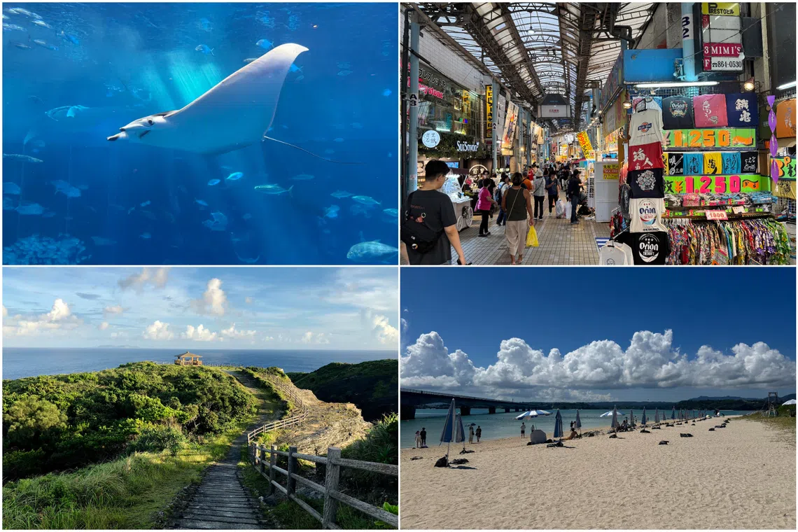 Okinawa was named one of Expedia's destinations of the year for 2026.
