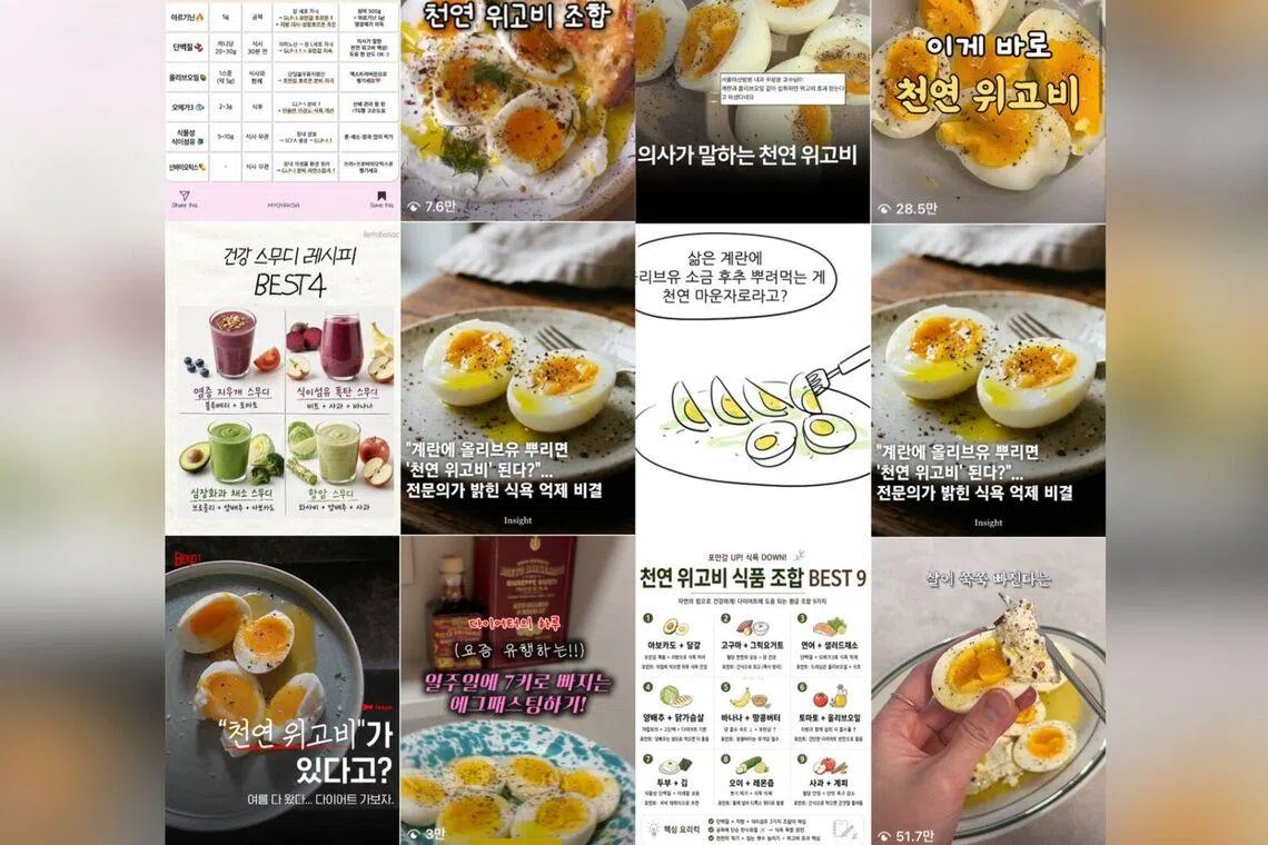 A screengrab of Instagram search results for “natural Wegovy” in Korean. 